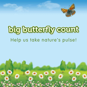 butterfly-count.png?anchor=center&mode=crop&width=300&height=300&rnd=131394913920000000