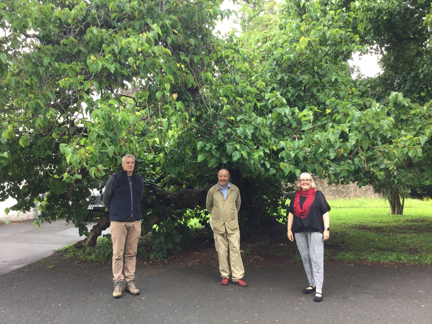 Cllr Steve Darling, Dan Vickridge and Sam Village (The Tree Council)