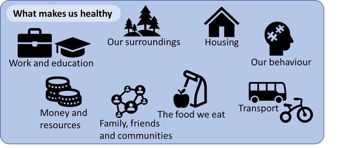 Figure 1 What makes us healthy. Adapted from The Health Foundation
