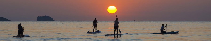 Four stand up paddleboards with the sunset behind them.