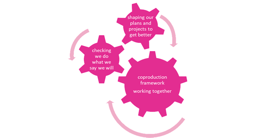 3 interlocking cogs which say - checking we do what we say we will > shaping our plans and projects to get better > coproduction framework working better together