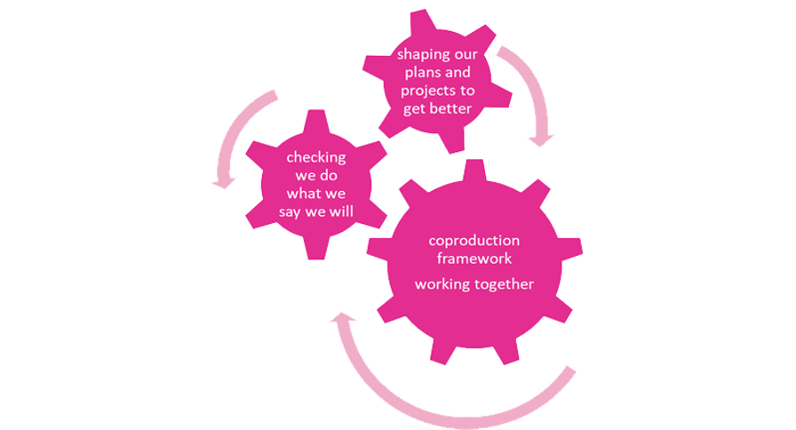 3 interlocking cogs which say - checking we do what we say we will > shaping our plans and projects to get better > coproduction framework working better together