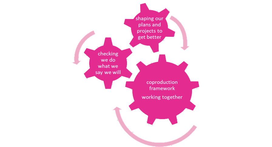 3 interlocking cogs which say - checking we do what we say we will > shaping our plans and projects to get better > coproduction framework working better together