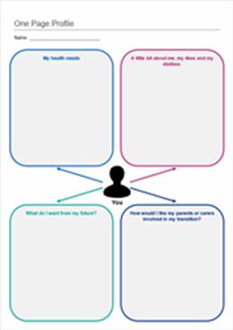Preview of a one page profile