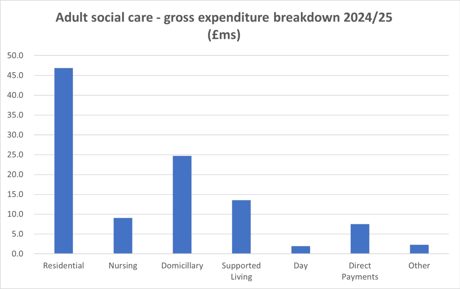 Bar chart titled 'Adult Social Care – Gross Expenditure Breakdown 2024/25 (£ millions).' It shows spending across seven categories: Residential (£47m), Nursing (£8m), Domiciliary (£23m), Supported Living (£15m), Day (£2m), Direct Payments (£10m), and Other (£3m). Residential care has the highest expenditure, followed by Domiciliary and Supported Living.