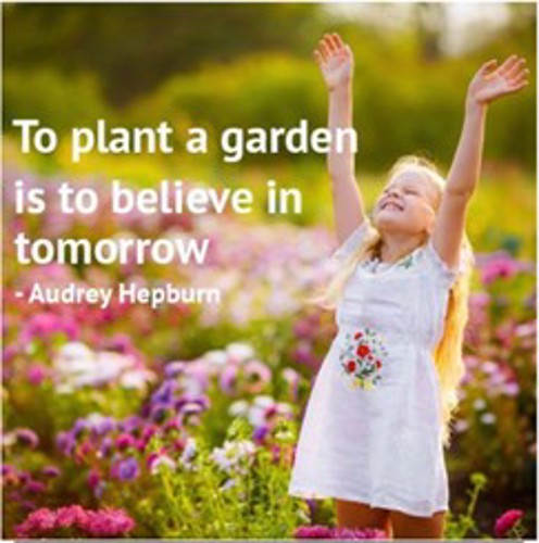 To plant a garden is to believe in tomorrow - Audrey Hepburn