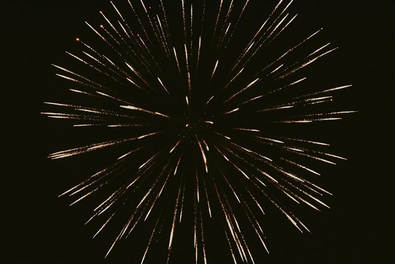 An image of a firework in the night sky.